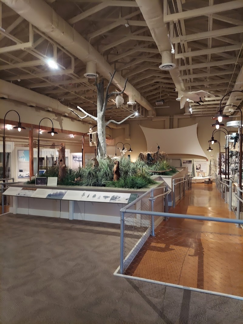 Photo 2 of Outer Banks Center for Wildlife Education