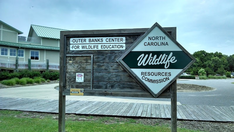 Photo 7 of Outer Banks Center for Wildlife Education