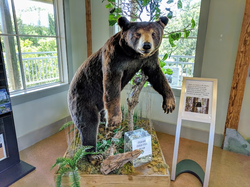 Photo 8 of Outer Banks Center for Wildlife Education