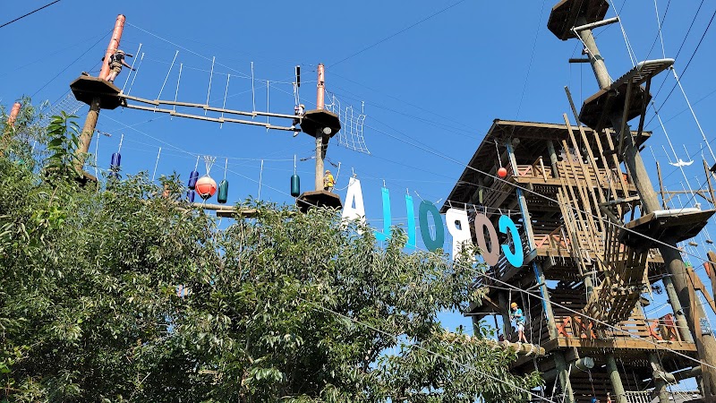 Photo 7 of Corolla Adventure Park